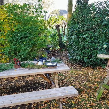 Knus Midden In De En De Rust. *