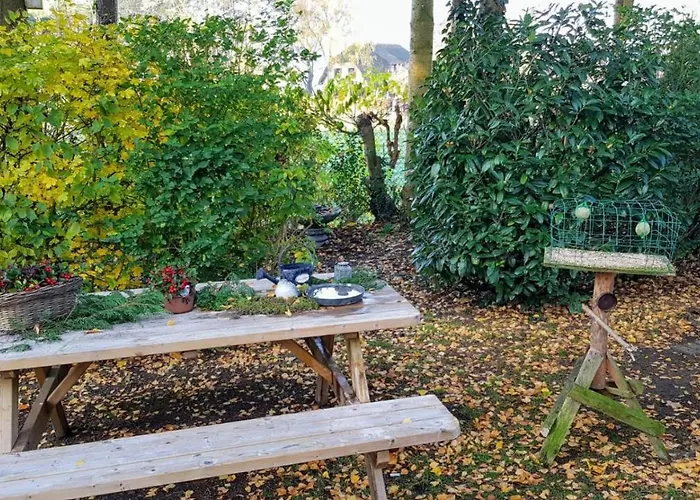 Knus Midden In De En De Rust. *